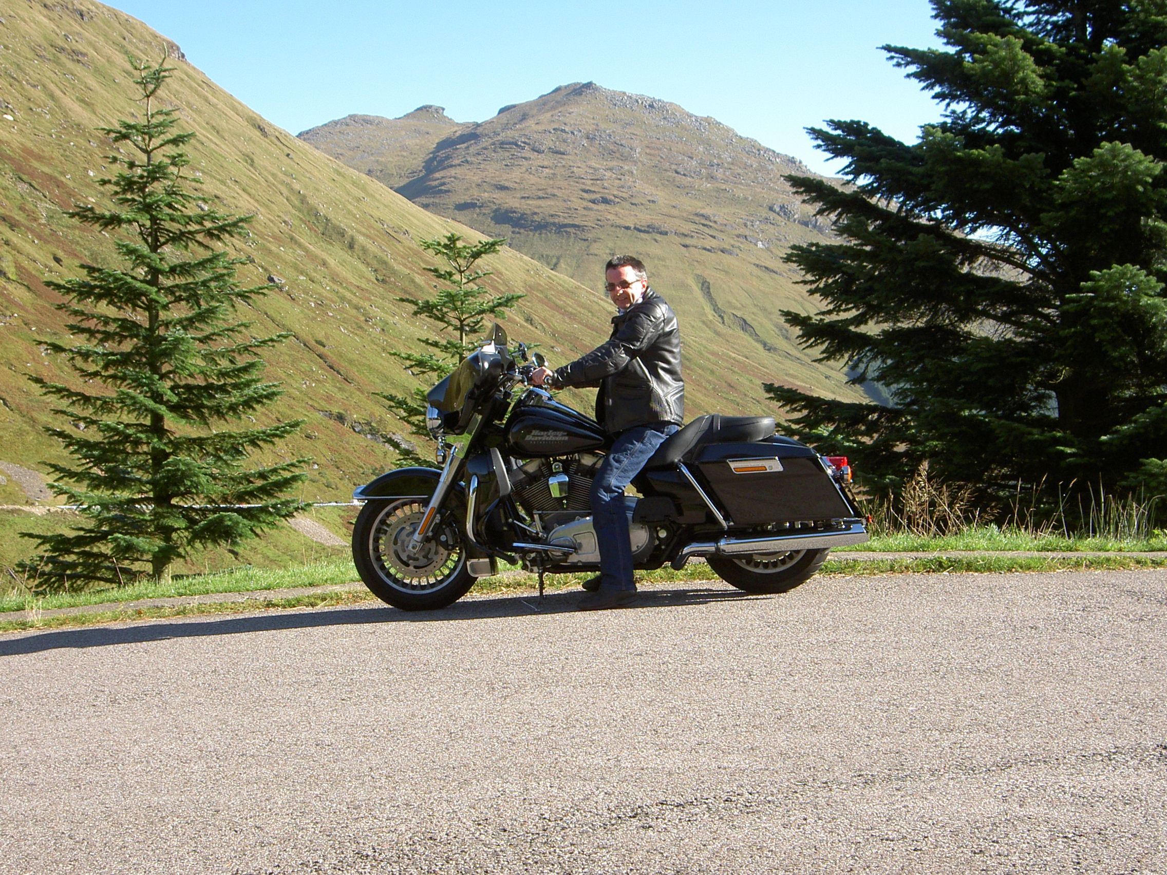 Electra Glide on Greenery
